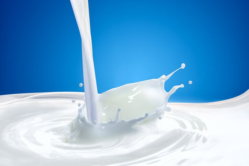 Mléčný tuk a laktóza – proč je nechceme v proteinech?