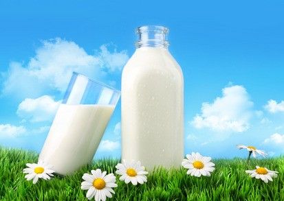 Mléko - ano či ne ve fitness výživě?