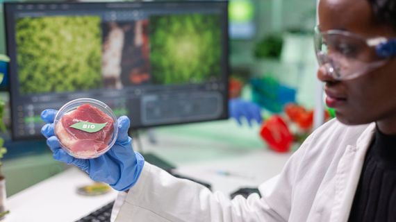 Nutrigenomika: jak jídlo ovlivňuje naše geny?