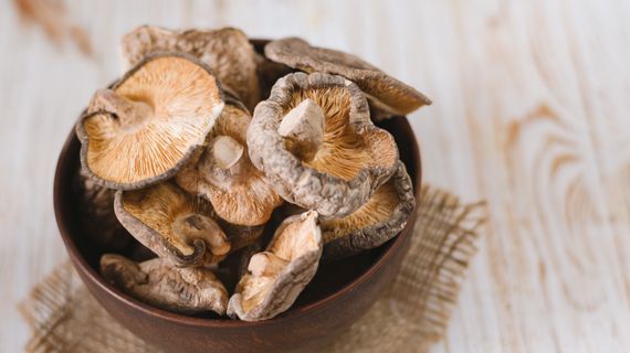 Medicinální houby: sliby vs. důkazy