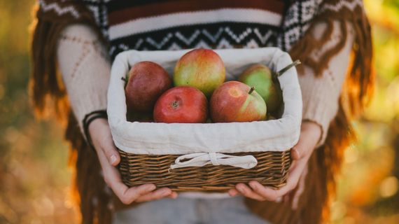 7 nejlepších podzimních plodů: čím prospívají zdraví a jak je zpracovat