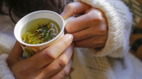 Bylinné čaje: Úleva od nachlazení i stresu – umíte vybrat ten správný?