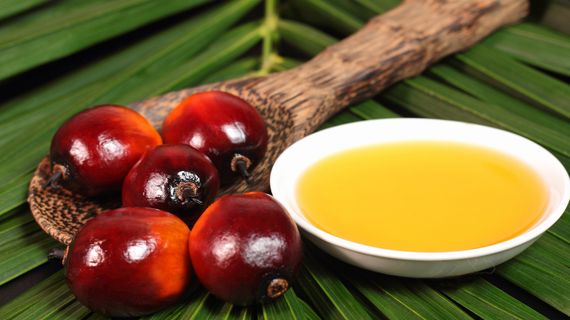 Fakta o palmovém oleji. Škodí jen přírodě, nebo i člověku?