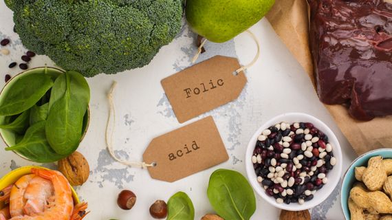 K čemu v organismu slouží kyselina listová? Benefity, zdroje a rizika