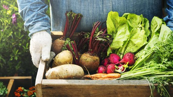 Lokálne potraviny: sú skutočne chutnejšie, zdravšie a udržateľné?