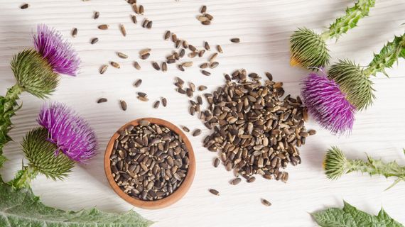 Milk Thistle: What It Is, Effects and Dosage