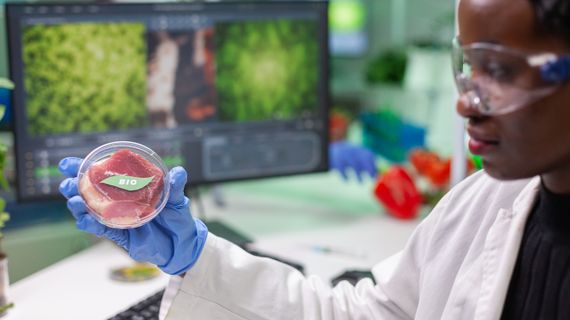 Umelé mäso: Sci-fi alebo nutnosť na prežitie ľudstva?