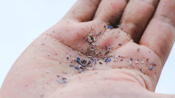 Vědci poprvé našli mikroplasty v lidské krvi. Co to znamená pro naše zdraví?