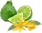 Ylang ylang a bergamot