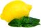citrón/bazalka