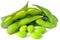 green soybean fettuccine