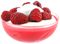 yoghurt/raspberry