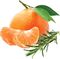 tangerine with rosemary
