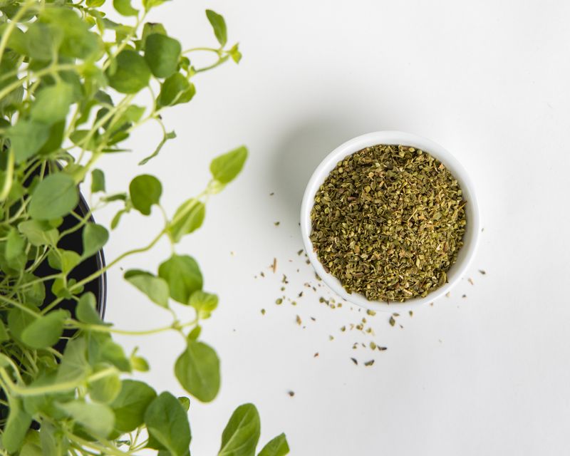 Vilgain Oregano BIO 20 g Obrázek