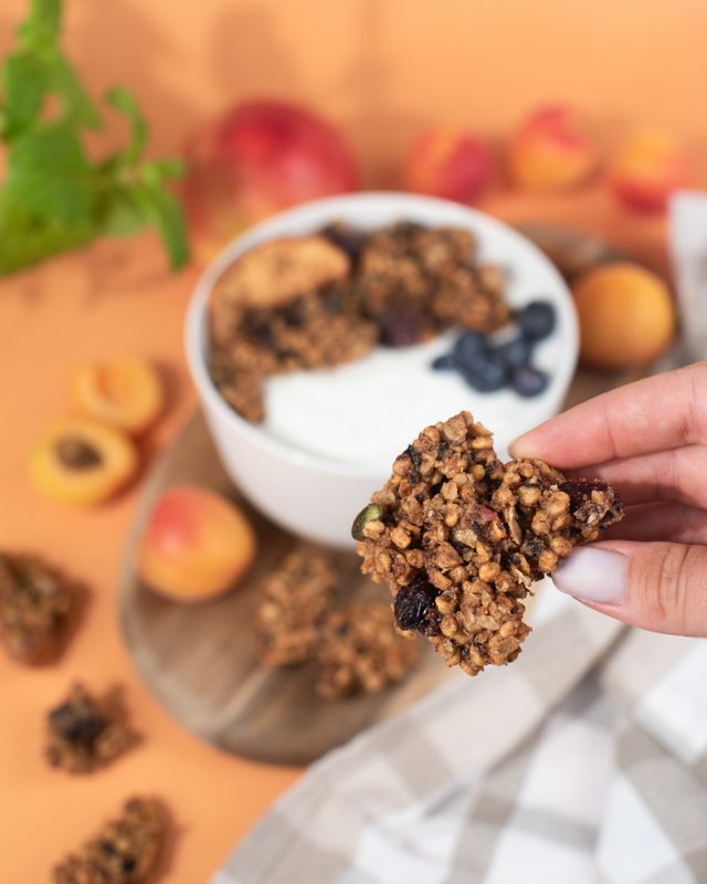 Vilgain Plant Protein Granola Záhradné ovocie so semienkami 350 g Obrázek