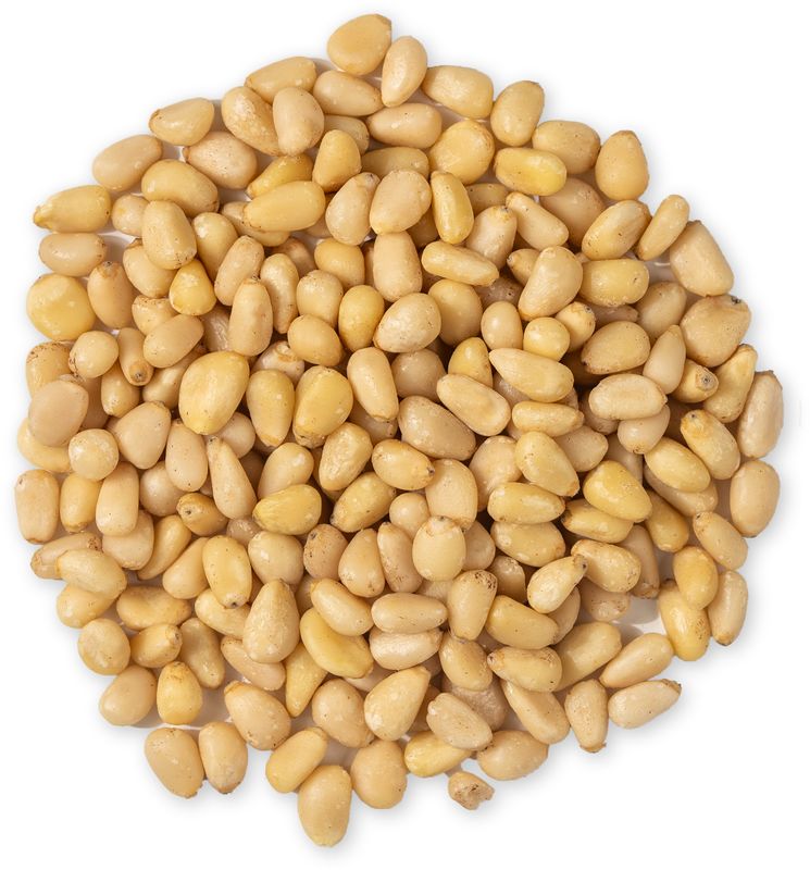 Vilgain Piniové ořechy – 500 g Obrázek