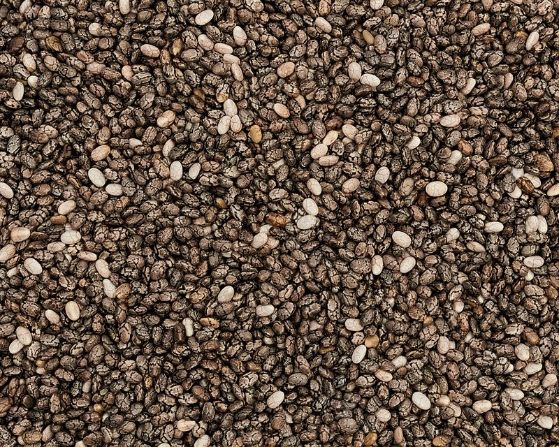 Vilgain Chia Seeds 250 g Obrázek