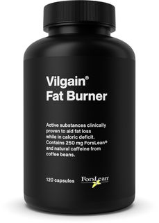 Vilgain Fat Burner 2.0