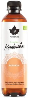 Puhdistamo Kombucha BIO