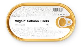Vilgain Salmon Fillets