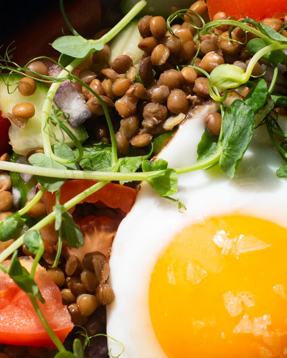 Vilgain Hnědá čočka v nálevu BIO