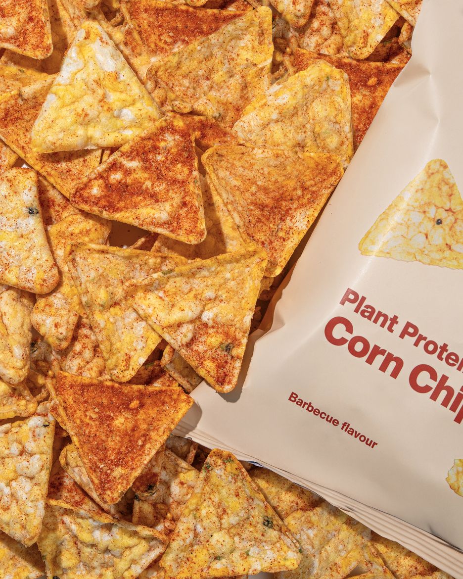 Vilgain Kukuřičné proteinové chipsy BIO