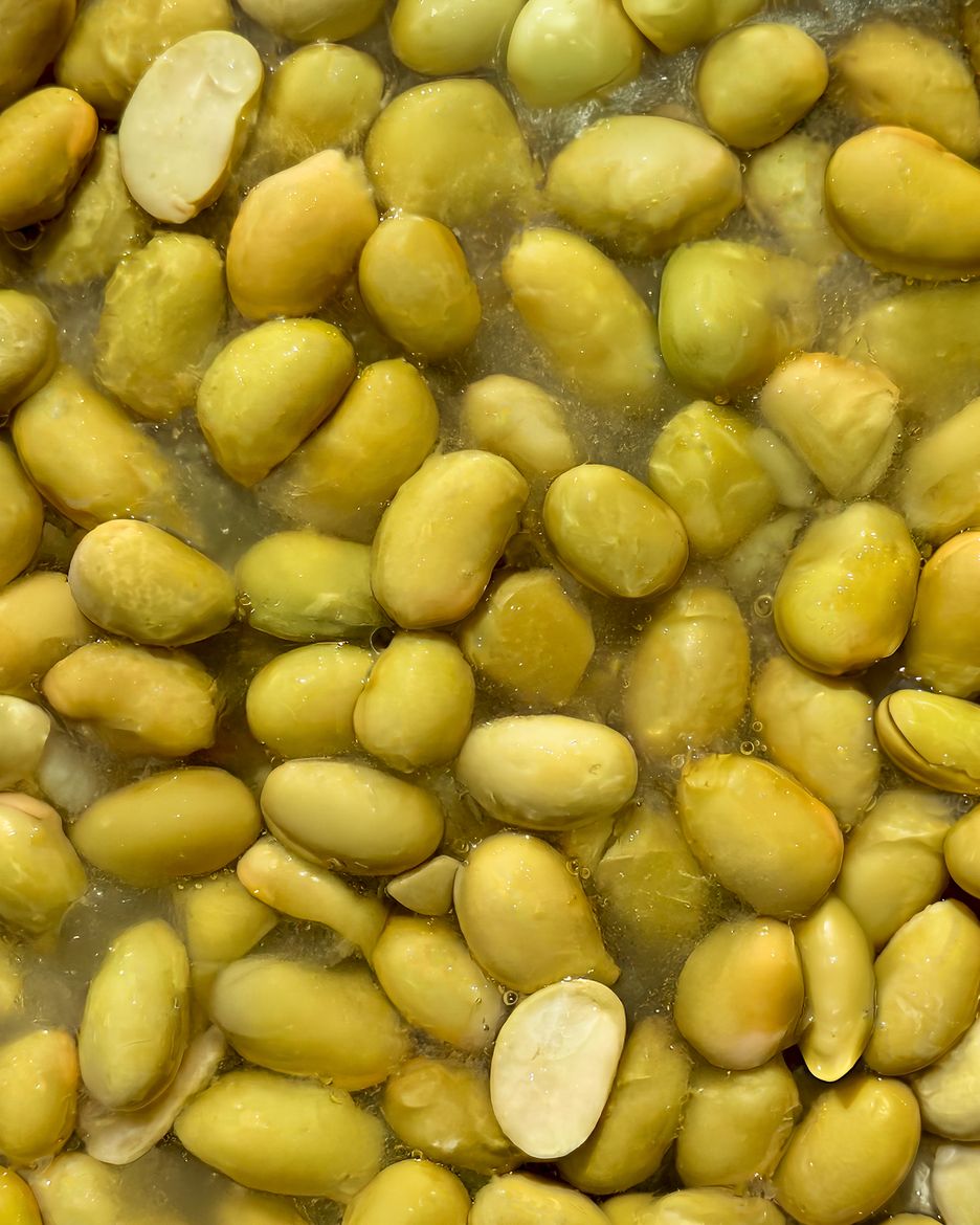 Vilgain Edamame BIO