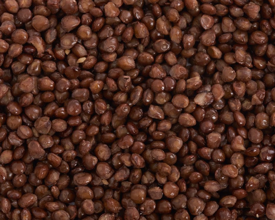 Vilgain R2E Organic Brown Lentils