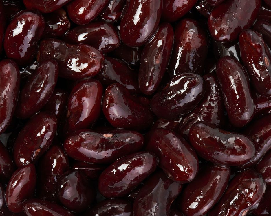 Vilgain R2E Organic Kidney Beans