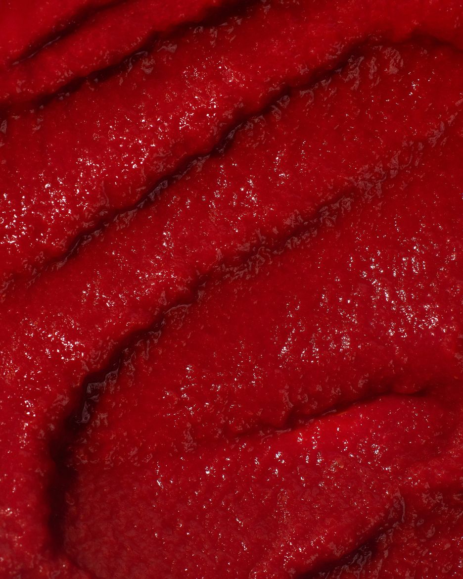 Vilgain Rajčatový protlak BIO