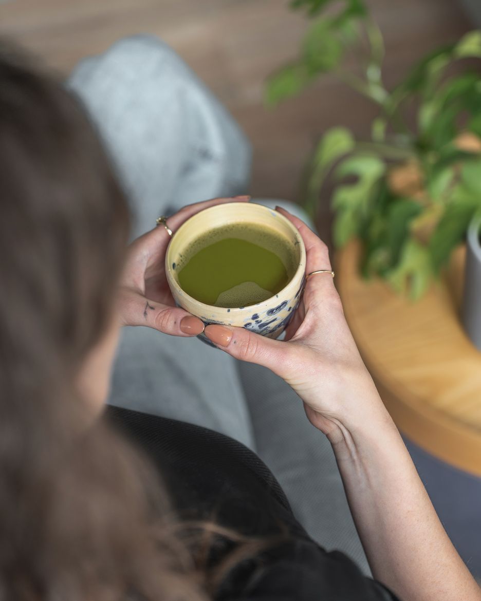 Vilgain Matcha japoneză BIO