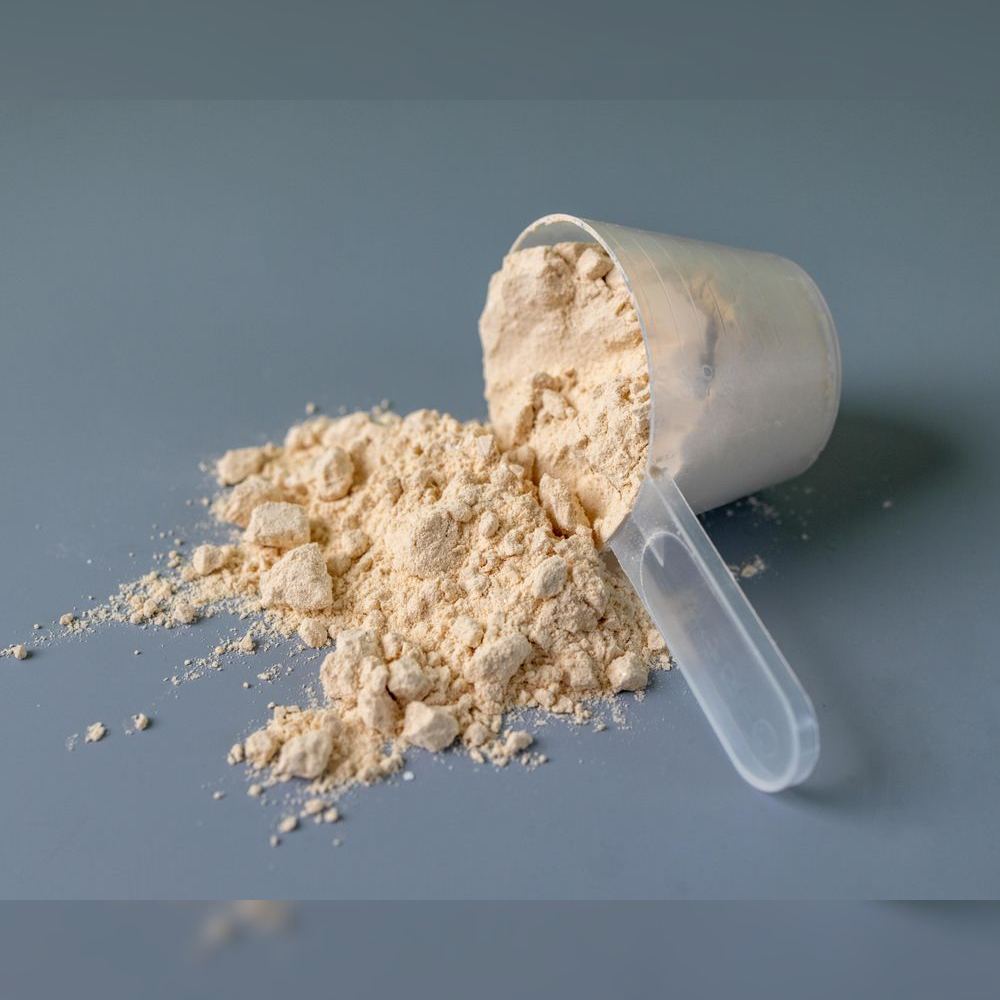 Vilgain Plant Based Protein – vanilka 1 000 g