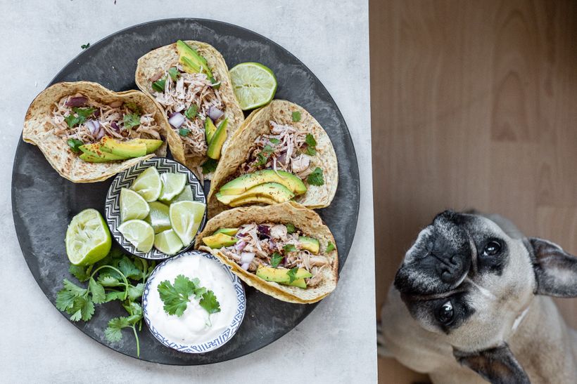 Domáce kuracie tacos