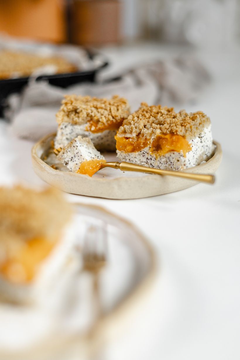 Meruňkový koláč s tvarohem na plech