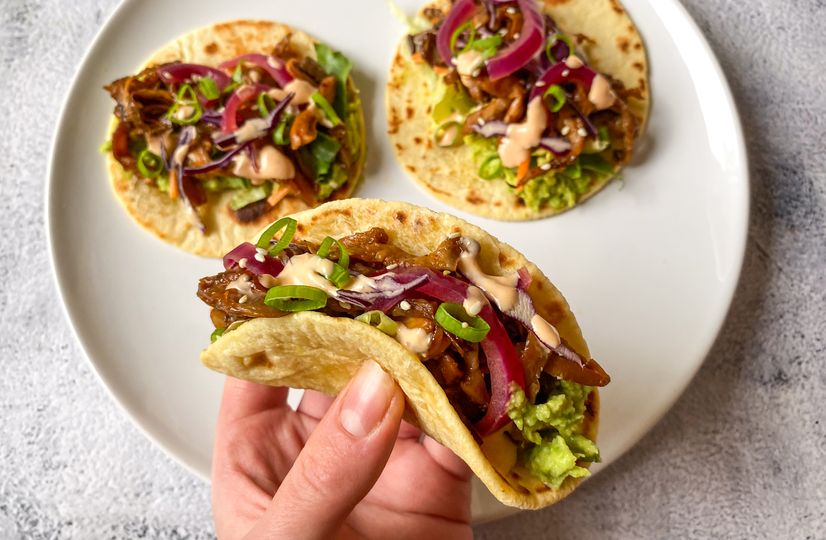 Tacos s trhanou hlívou ústřičnou